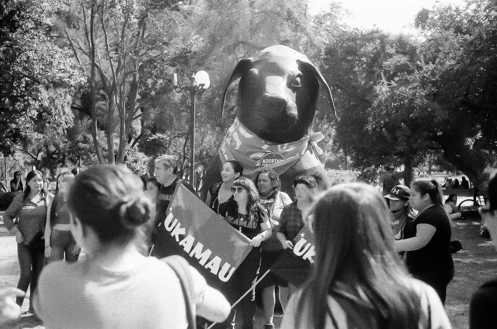 santiago chili manifestation 01 avenue provicencia negro matapaco rollei35 s 2020 03 07 000095190022