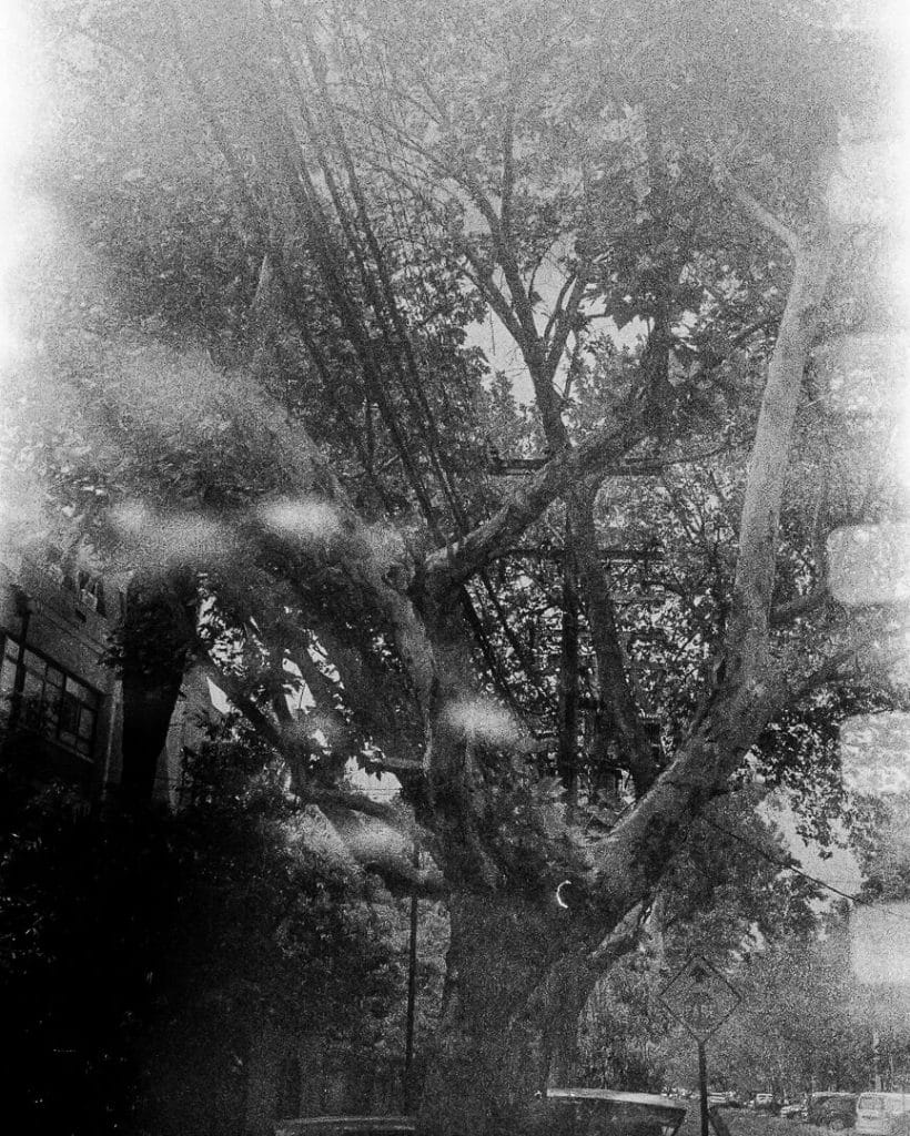 santiago chili manifestation 03 rollei35 s 2019 11 08 photo27 5
