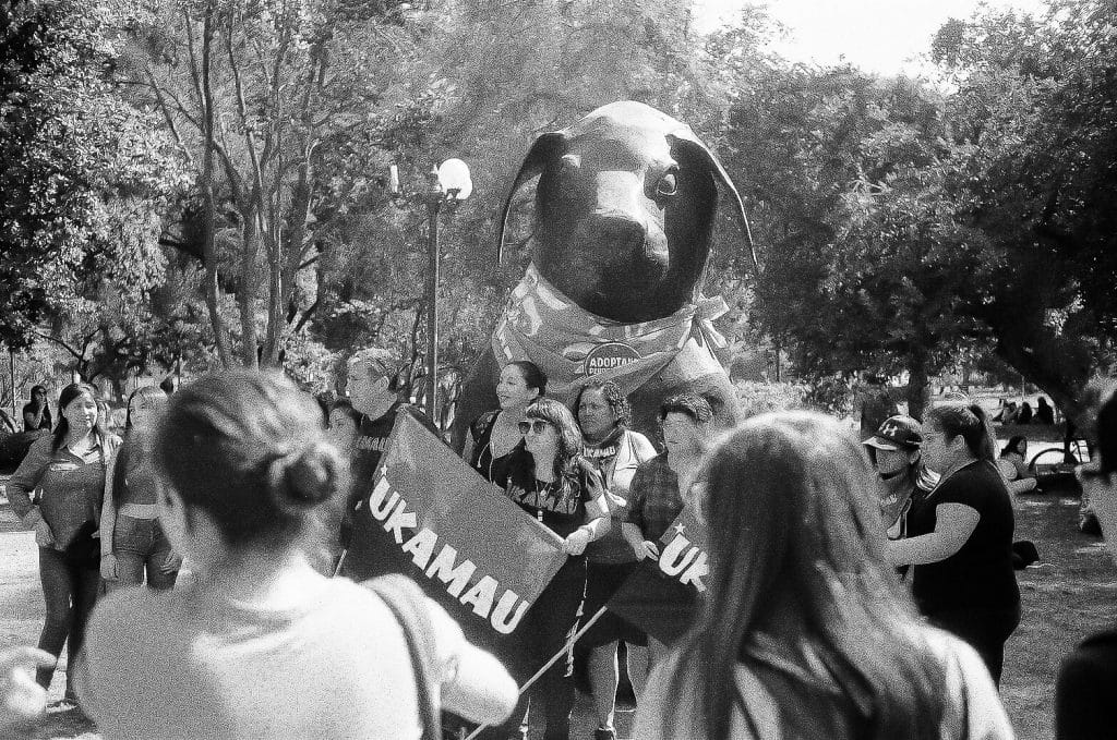 santiago chili manifestation 26 avenue provicencia negro matapaco rollei35 s 2020 03 07 000095190022