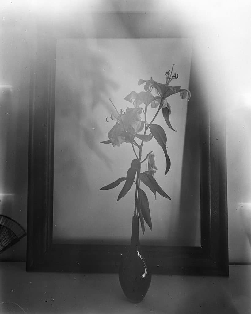 Portrait Hors Cadre 04SINAR 20221006 Delta 100 027