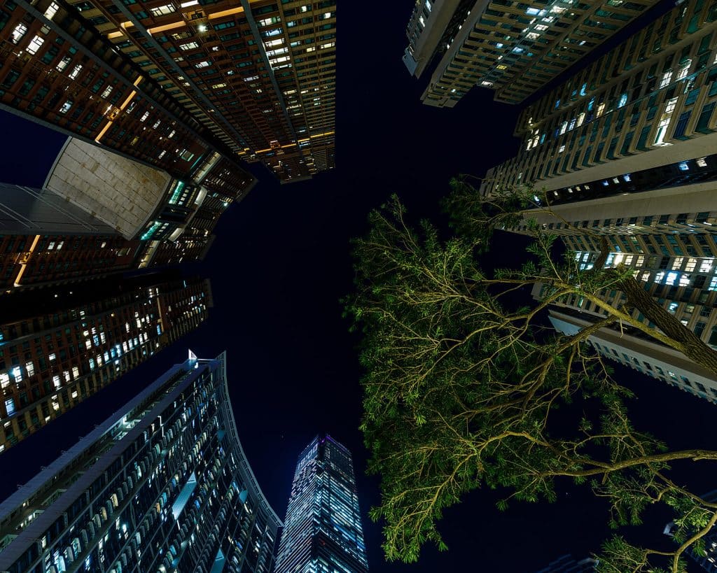 hong kong by night 11 m4 4985