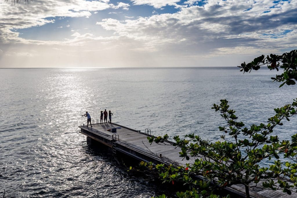 martinique the deck 10 m4 9185