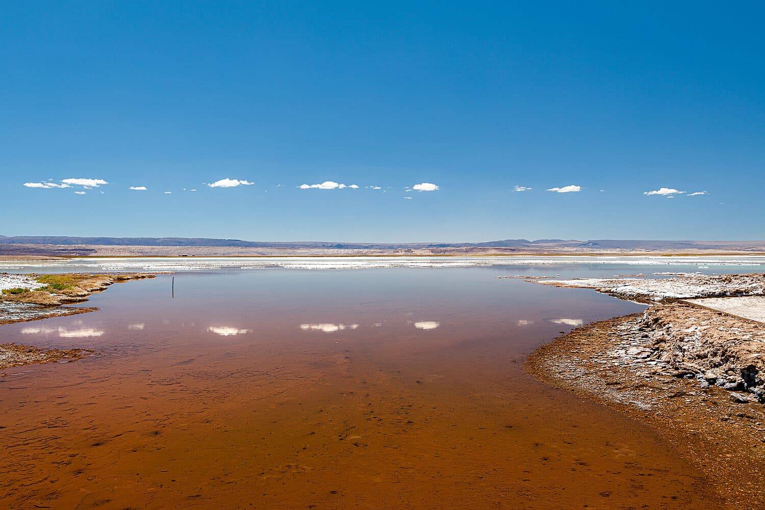DesertdAtakamaauChili FP